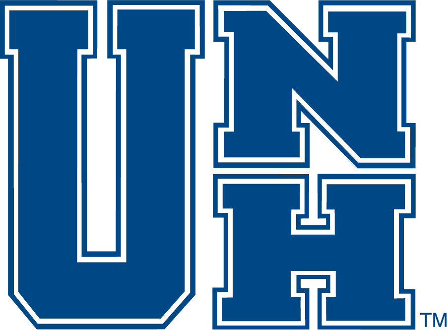 New Hampshire Wildcats 1993-2000 Secondary Logo diy iron on heat transfer